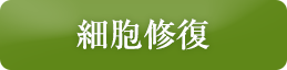 細胞修復