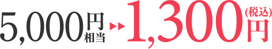 初回限定特別価格 税込み1300円