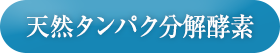 天然タンパク分解酵素
